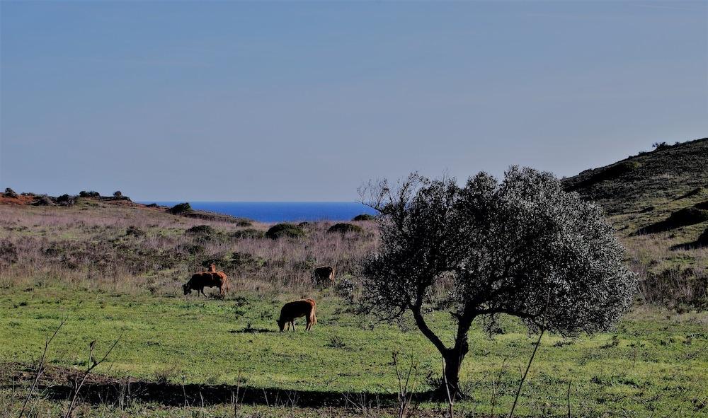 Praia Do Burgau Buitenkant foto